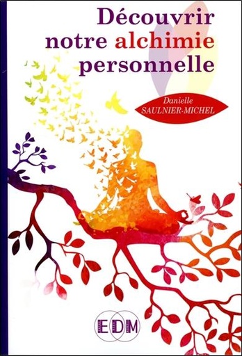 [9782919537495] Découvrir notre alchimie personnelle