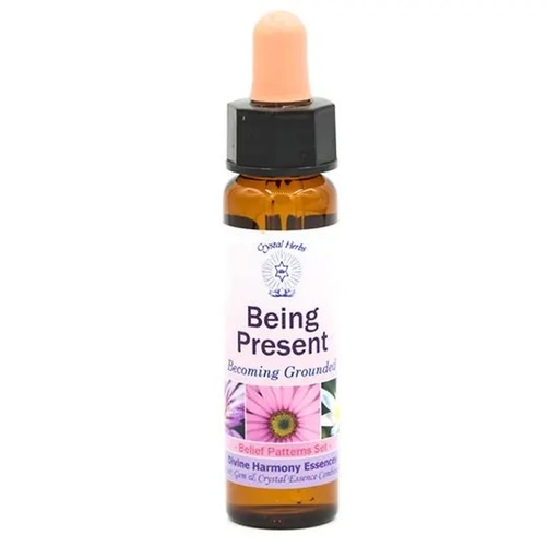 [5060100561059] Etre présent, Belief Patterns Essence | 10 ml