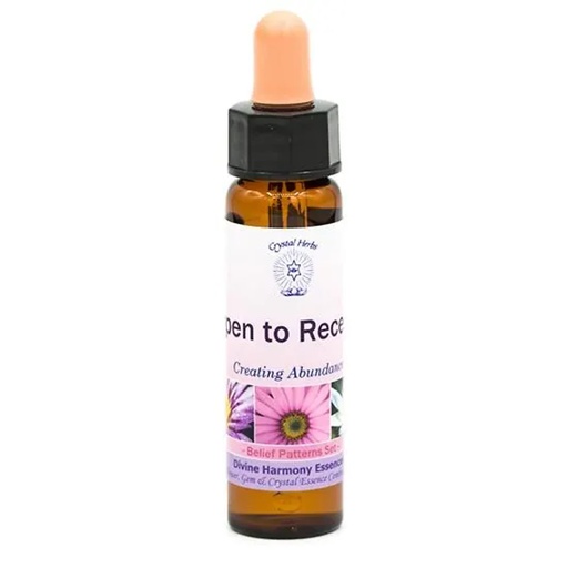 [5060100561271] Ouvert à recevoir, Belief Patterns Essence | 10 ml