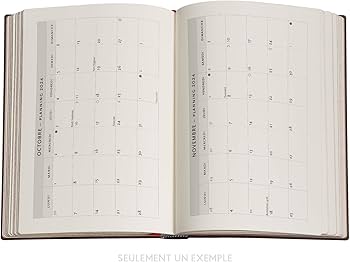 [9781439705926] agenda PAPERBLANKS midi 12 mois Anémone