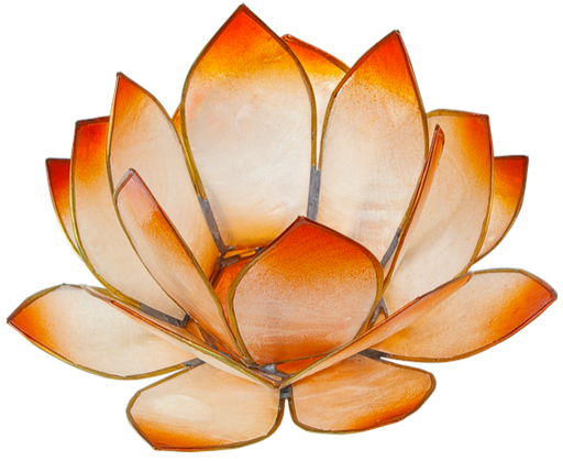 [4250928726629] Photophore lotus - coloris mandarine