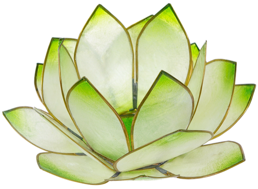 [4250928726582] Photophore lotus - coloris vert lime