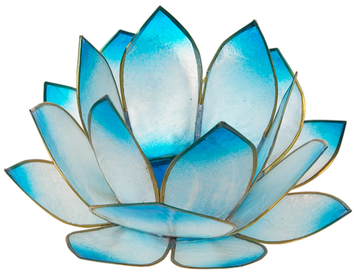 [4250928726599] Photophore lotus - coloris turquoise