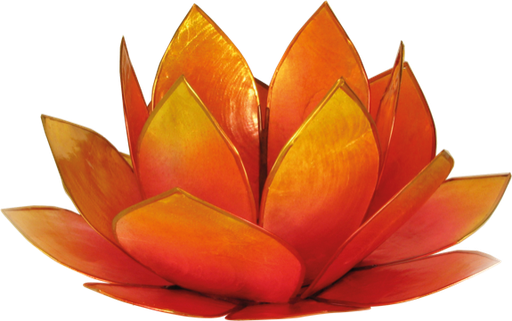 [4250928726568] Photophore lotus - coloris rose et jaune