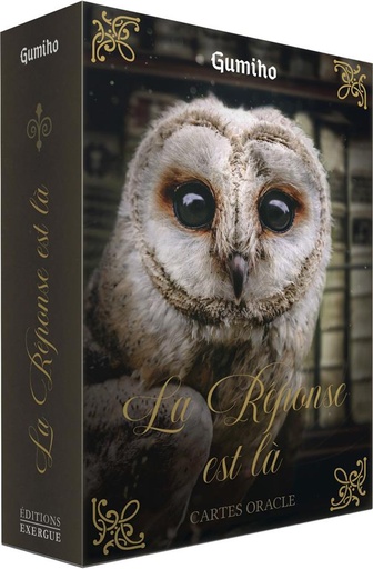[9782361887155] La réponse est là : Cartes oracle
