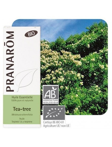 [5420008526220] Huile essentielle Tea-tree Pranarom BIO -- 10ml