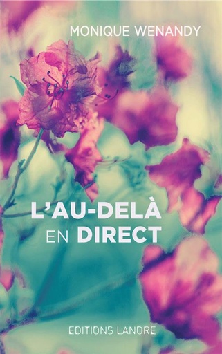 [9782851578662] L'au-delà en direct