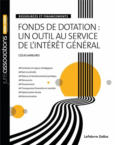 [9782247233144] Fonds de dotation : un outil au service de l'intérêt général ; Ressources et financements