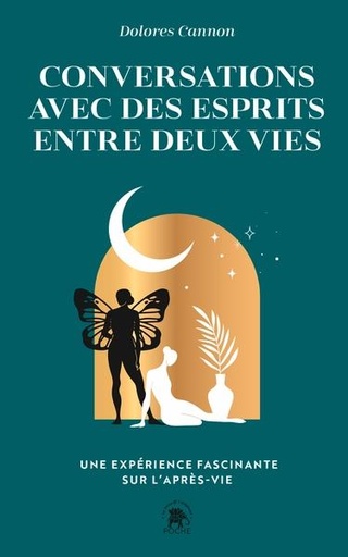 [9782017233879] Conversations avec des esprits entre deux vies : Une expérience fascinante sur l'après-vie