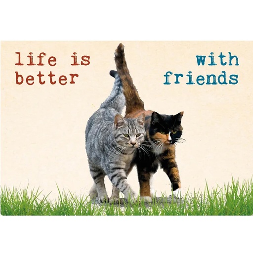 [8718274603200] Carte postale avec texte Life is better.. | 15x10.5 cm