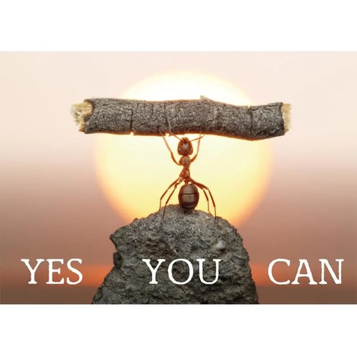 [8718274605365] Carte postale Yes you can | 15x10.5 cm