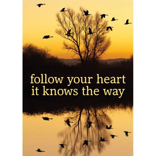 [8718274605402] Carte postale Follow your heart -- 15x10.5 cm
