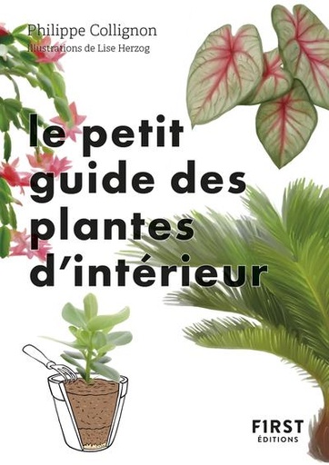Le petit guide des plantes d'intérieur - 70 variétés pour embellir son salon