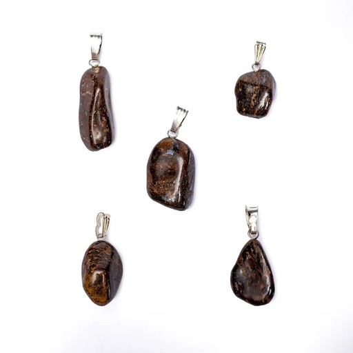 [8718657461243] Broche pendentif Bronzite percé | ±2-3cm