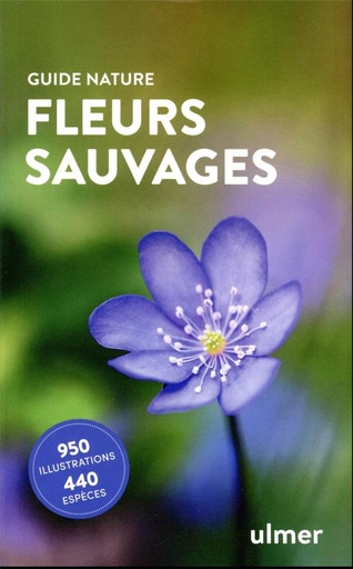 Couverture du livre Fleurs sauvages de Bruno P. Kremer