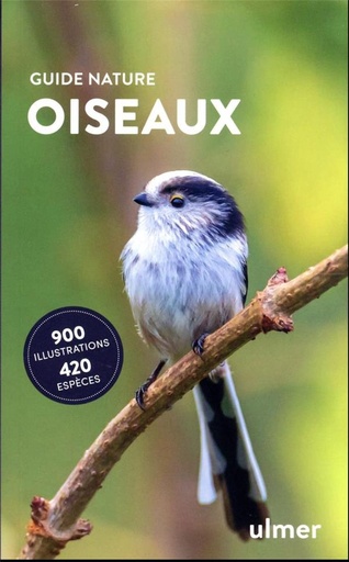 Couverture du livre Oiseaux de Anne Puchta