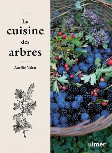 Couverture du livre La cuisine des arbres de Aurélie Valtat