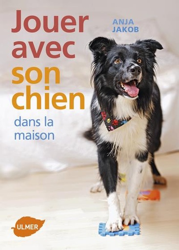 Couverture du livre Jouer avec son chien dans la maison de Anja Jakob