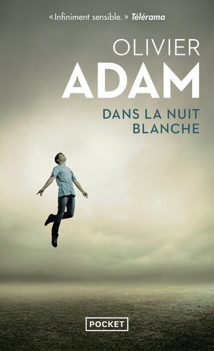 Couverture du livre Dans la nuit blanche de Olivier Adam
