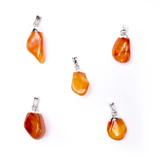 [8718657462509] Pendentif Cornaline monture en métal | ±1-2.5 cm