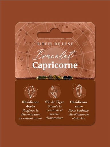[3760398180940] Bracelet Astrologie Capricone