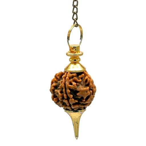 [8718657464190] Pendule  doré avec Rudraksha | 10 g; 4.5 cm