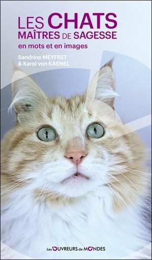[9782487001053] Les chats maîtres de sagesse en mots et en images
