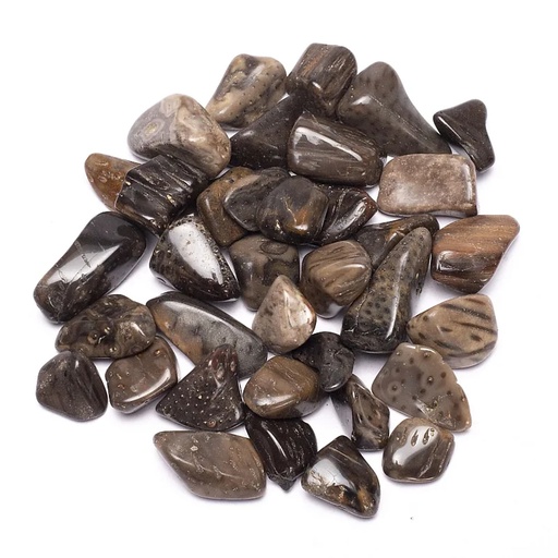 [8718657464916] Pierres de Palme polies qualité B | ± 250 g; ±2-3 cm