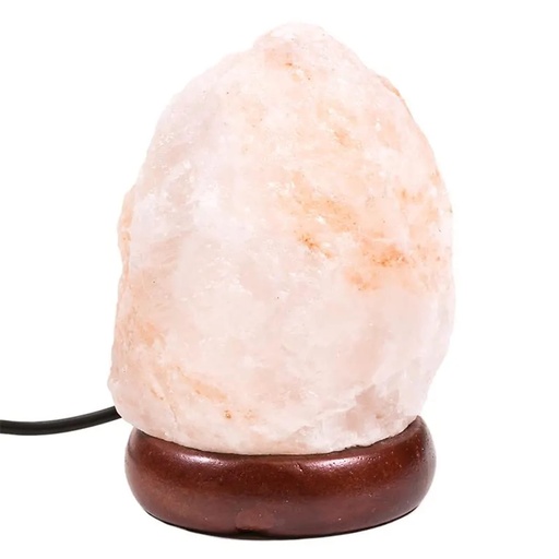 [8718657466866] Mini lampe sel orange USB  LED | 600 g; 9 cm
