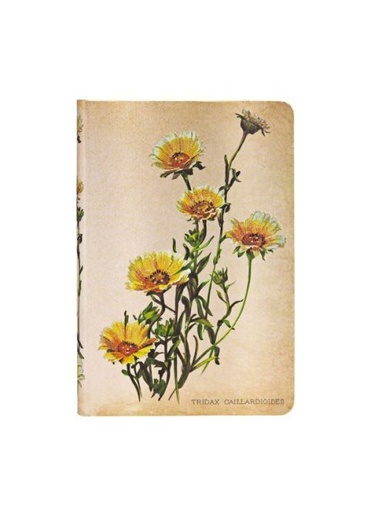 [9781439735756] Carnets à couverture rigide - Marguerites des Bois - Mini - Ligné