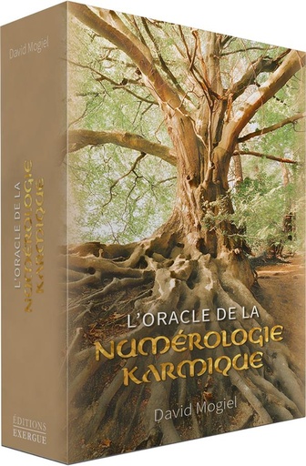[9782361888312] L'Oracle de la numérologie karmique