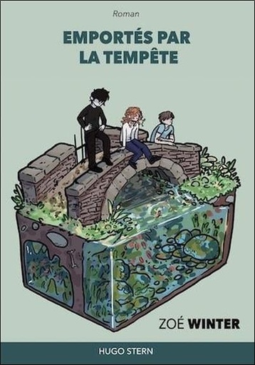 [9782383930082] Emportés par la tempête