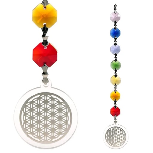 [8718969170086] Feng-Shui Fleur de vie couleur argent | 20 cm