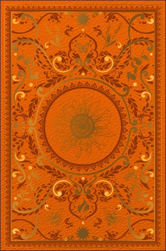 [9782380621518] Grimoire vierge Litha