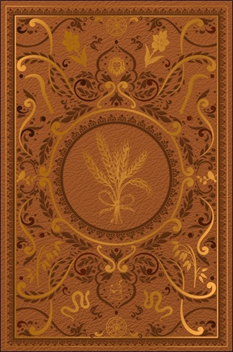 [9782380621525] Grimoire vierge Lugnasad