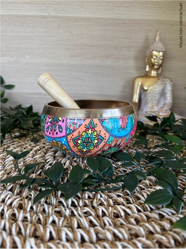 [3660341766927] Bol Chantant Tibétain Multicolore env 11 cm