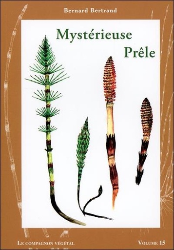 Mysterieuse prêle