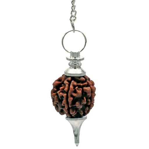 [8718969179171] Pendule couleur argent avec Rudraksha | 10 g; 4.5 cm