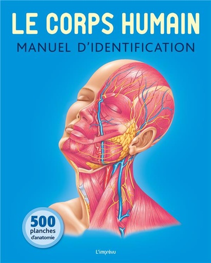 Le corps humain - Manuel d'identification
