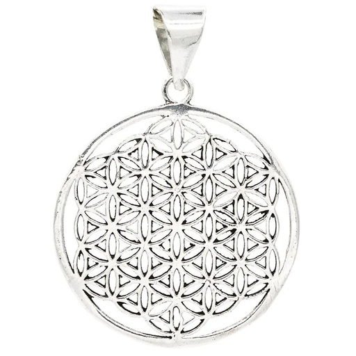 [8719075391129] Fleur de la vie pendentif laiton couleur argentée | 3 cm