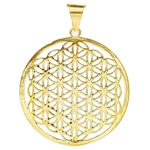 [8719075391136] Fleur de la vie pendentif laiton couleur doré | 4 cm