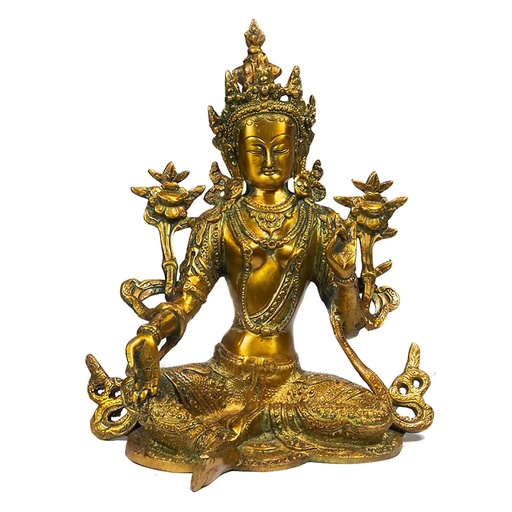 [8719075391242] Tara Verte | 26 cm
