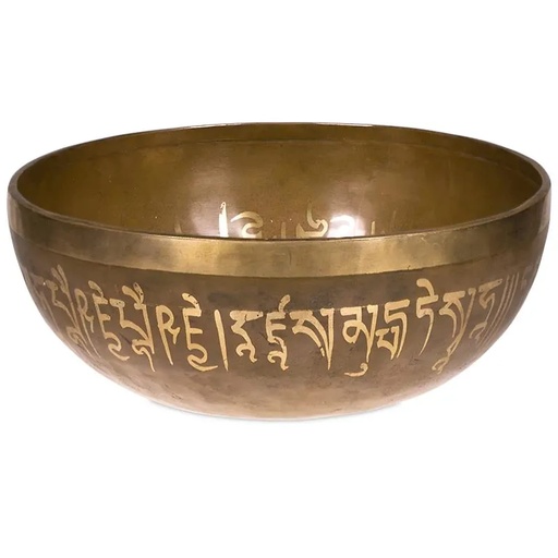 [8719075392843] Bol Tibétain Bouddha Médecine | 2400-2600 g; 28 cm