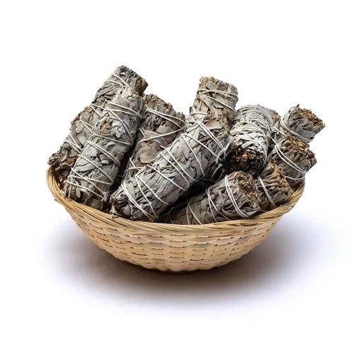 [8719172830446] Sauge blanche Smudge S - 24x en vrac | ±30-40g; ±11x3cm
