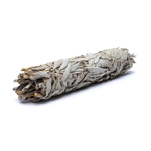 [8719172830460] Sauge blanche Smudge L | ±110-140g; ±23x5cm