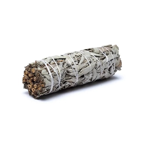 [8719172831771] Sauge blanche Smudge M | ±60-80g; ±16x3cm