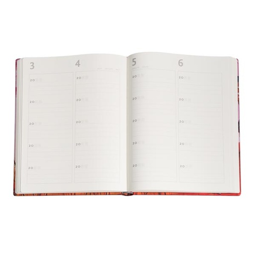 [9781439744765] Carnets Souvenirs 5 Ans - Kikka - Ultra - Carnets 5 Ans