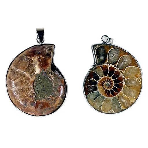 [8719172838664] Pendentif Ammonite | 3.5 cm