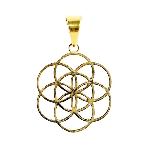 [8719172839067] Pendentif fleur de Vie laiton couleur or | 3 cm