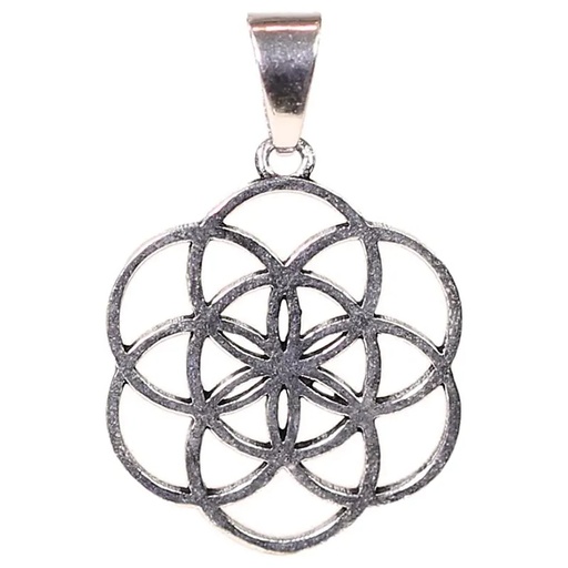 [8719172839074] Pendentif fleur de Vie laiton couleur argent | 3 cm